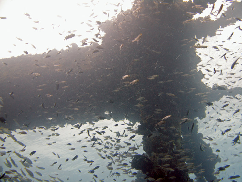 Natural Light, Wreck